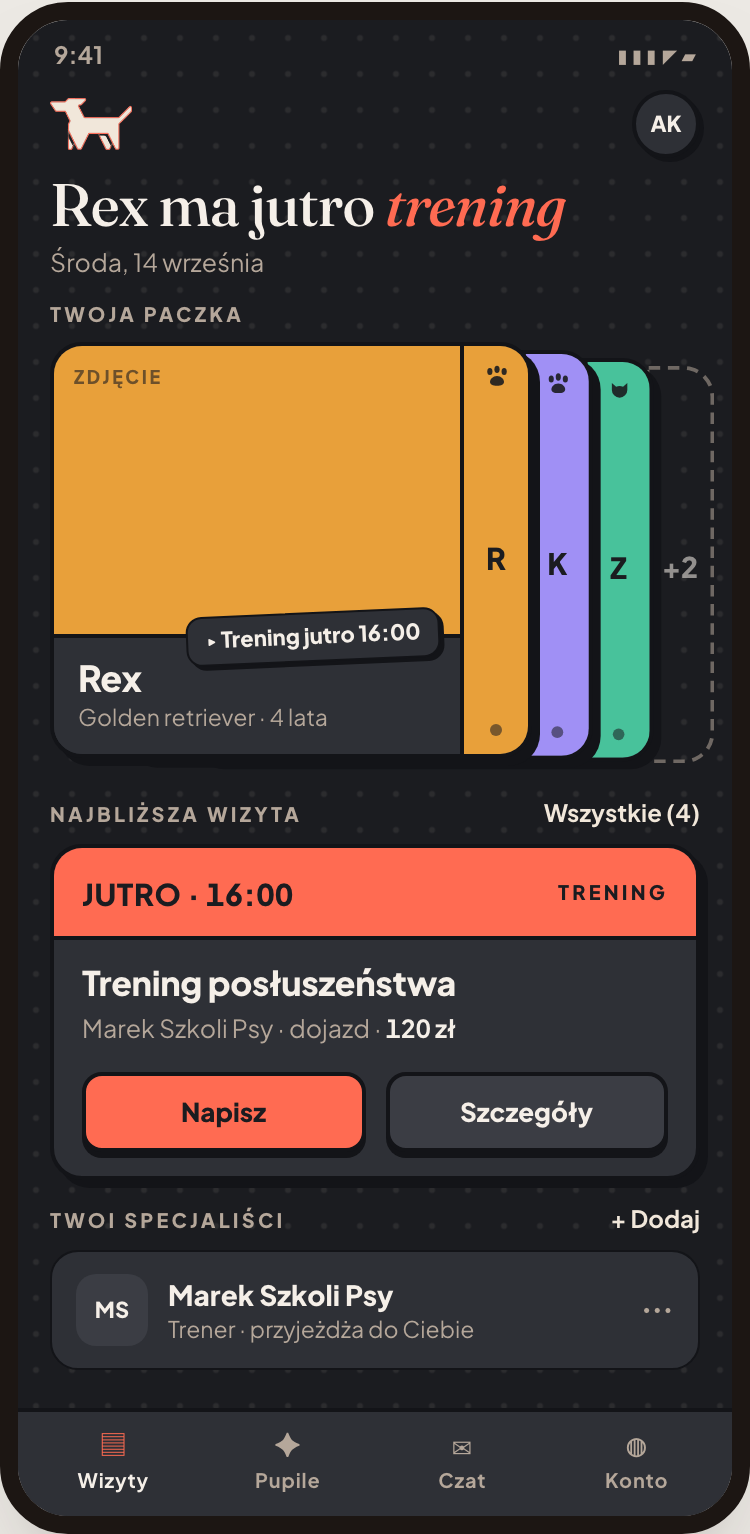 Pappsy u właściciela pupila - motyw ciemny