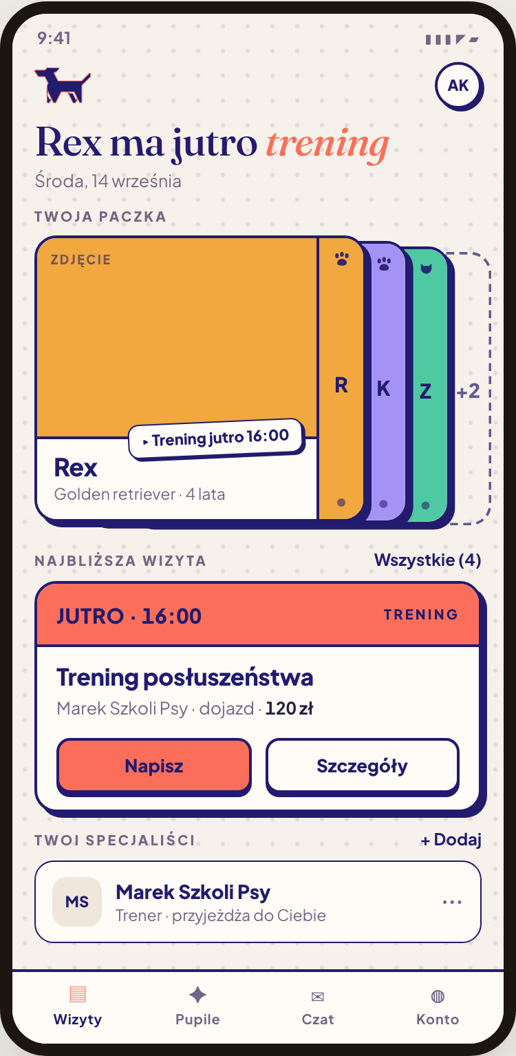 Pappsy u właściciela pupila - motyw jasny